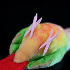 Underside of Pineapple Green-cheeked Conure plush by SoftDaysLab®, showing accurate parrot feet and tail design