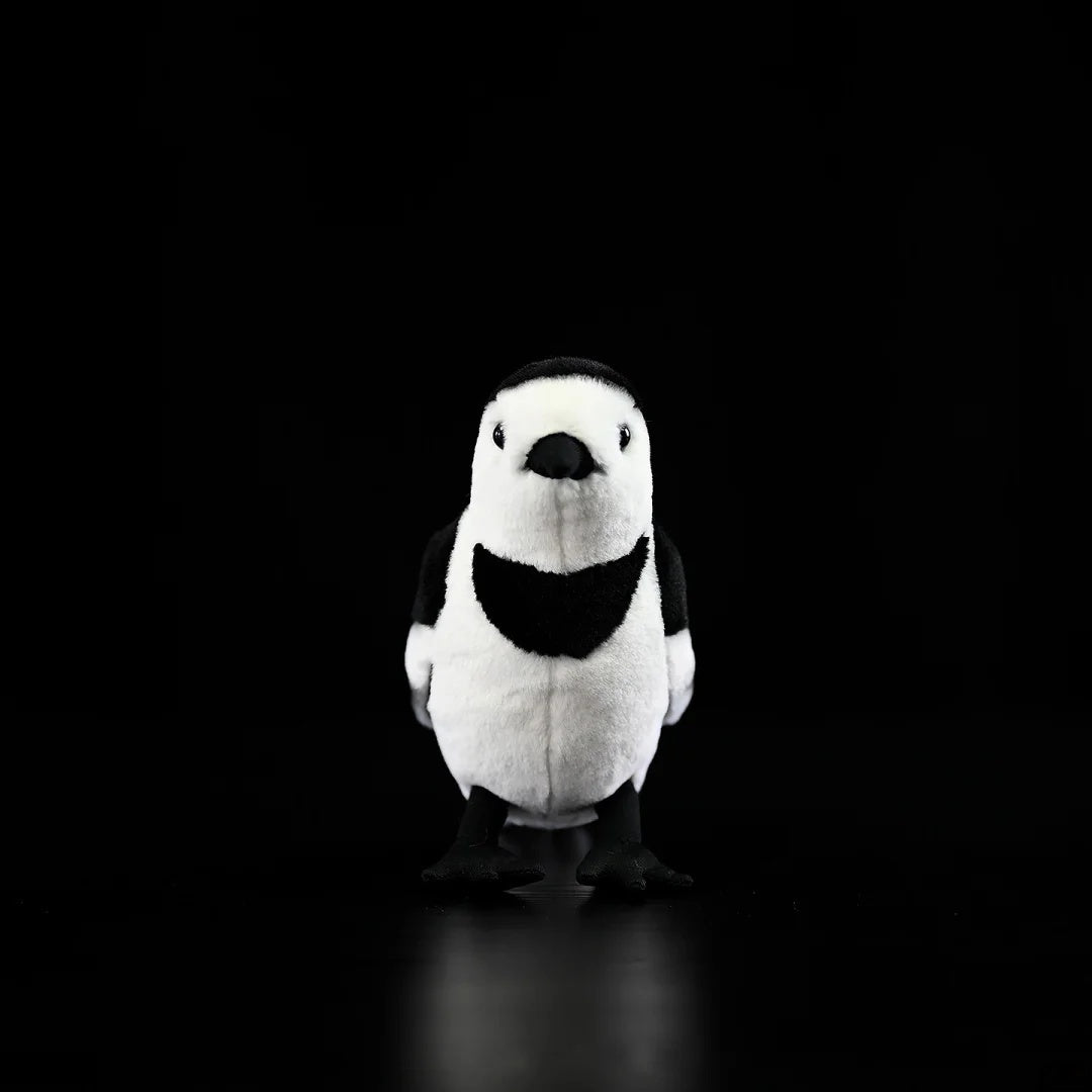 Front view of the White Wagtail plush toy by SoftDaysLab®, designed with realistic black-and-white details