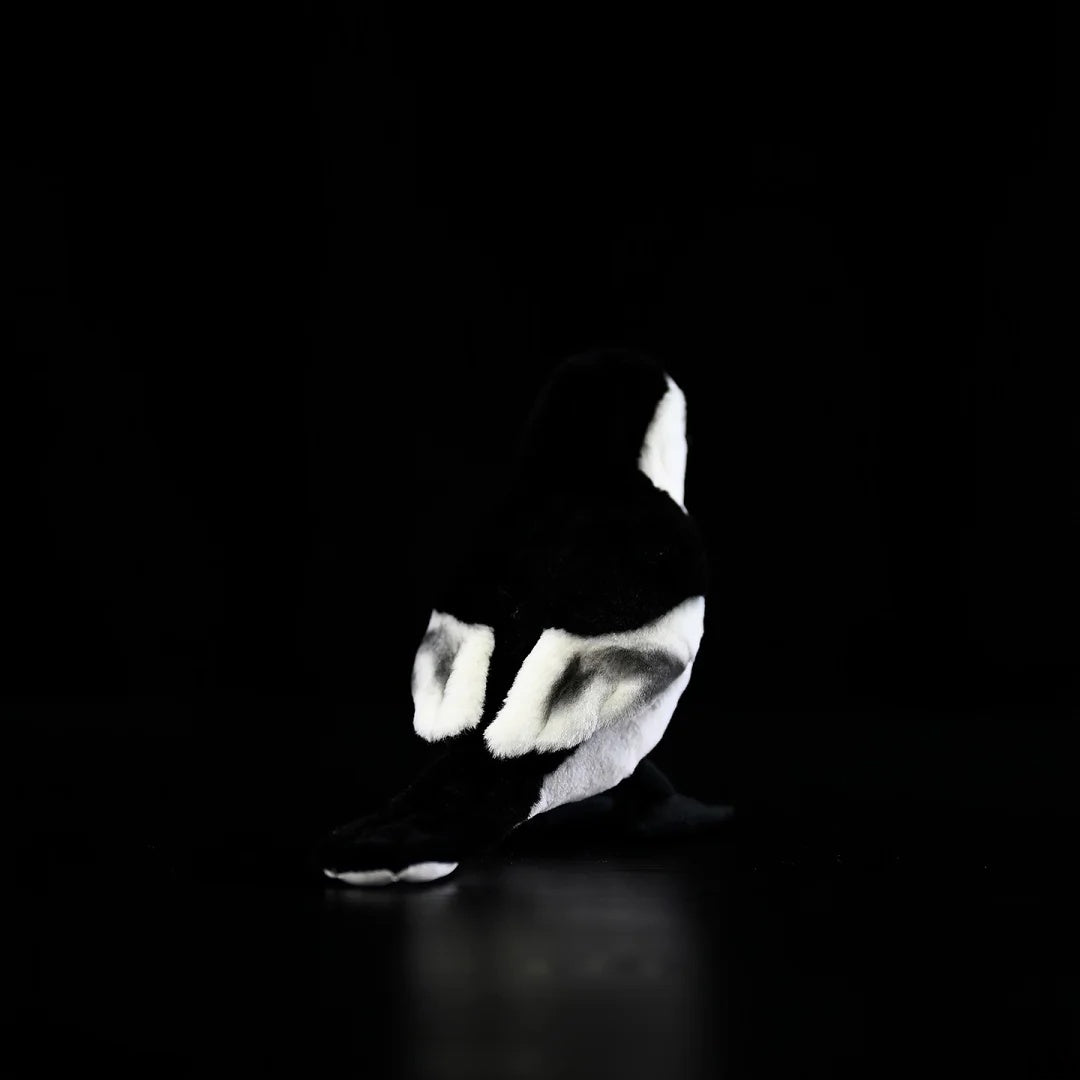 Back view of the White Wagtail collectible plush by SoftDaysLab®, showcasing its detailed wing patterns