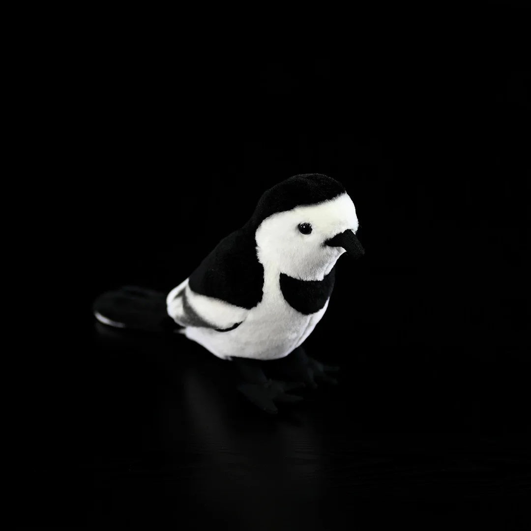 Bird's-eye view of the White Wagtail plush by SoftDaysLab®, showcasing its realistic shape and intricate design
