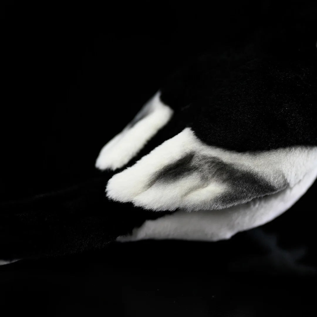 Detailed shot of the White Wagtail plush wings by SoftDaysLab®, meticulously crafted for a realistic bird look