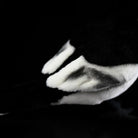 Detailed shot of the White Wagtail plush wings by SoftDaysLab®, meticulously crafted for a realistic bird look