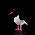 Angled view of Eurasian Oystercatcher plush by SoftDaysLab®, highlighting its realistic and soft texture