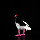 Rear view of Eurasian Oystercatcher plush by SoftDaysLab®, emphasizing its detailed wings and fluffy tail