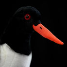 Close-up of Eurasian Oystercatcher plush head by SoftDaysLab®, featuring a vibrant red eye and precise bill detailing