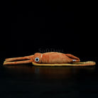 Realistic Giant Squid Plush Toy – Soft Lifelike and Perfect for Sea Life Fans
