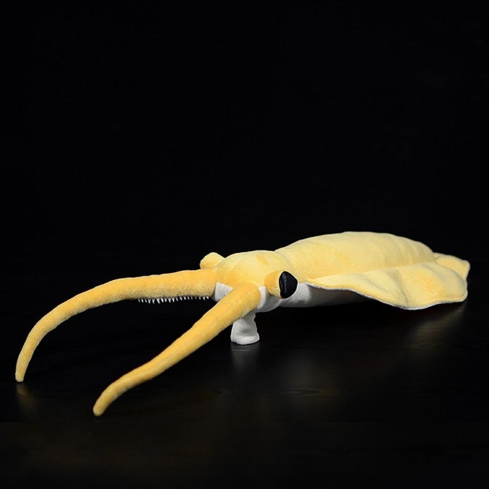 Lifelike Nectocaris Plush Toy – Realistic Prehistoric Ocean Creature Stuffed Animal