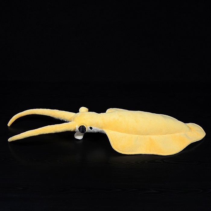 Lifelike Nectocaris Plush Toy – Realistic Prehistoric Ocean Creature Stuffed Animal