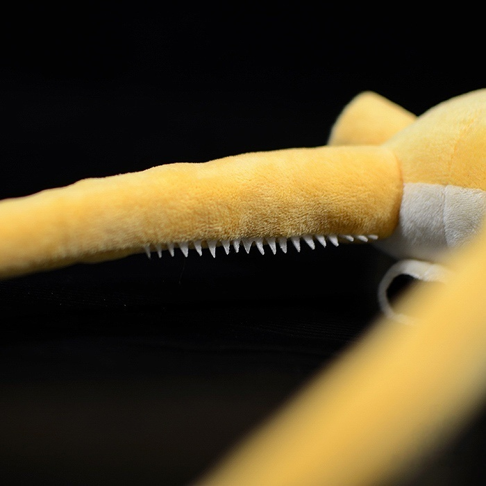 Lifelike Nectocaris Plush Toy – Realistic Prehistoric Ocean Creature Stuffed Animal