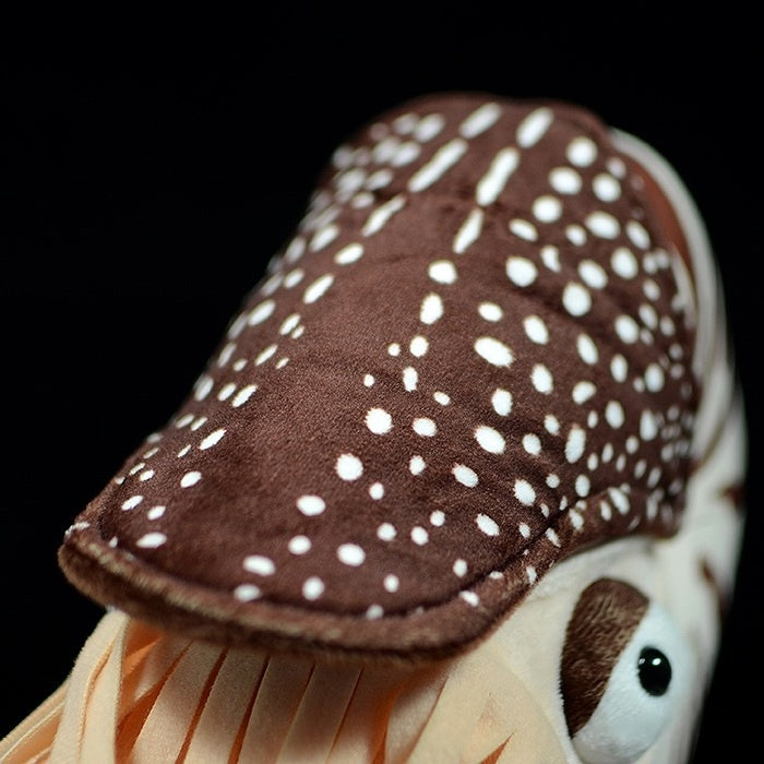 Nautilus Plush Toy – Soft and Realistic Marine Stuffed Animal