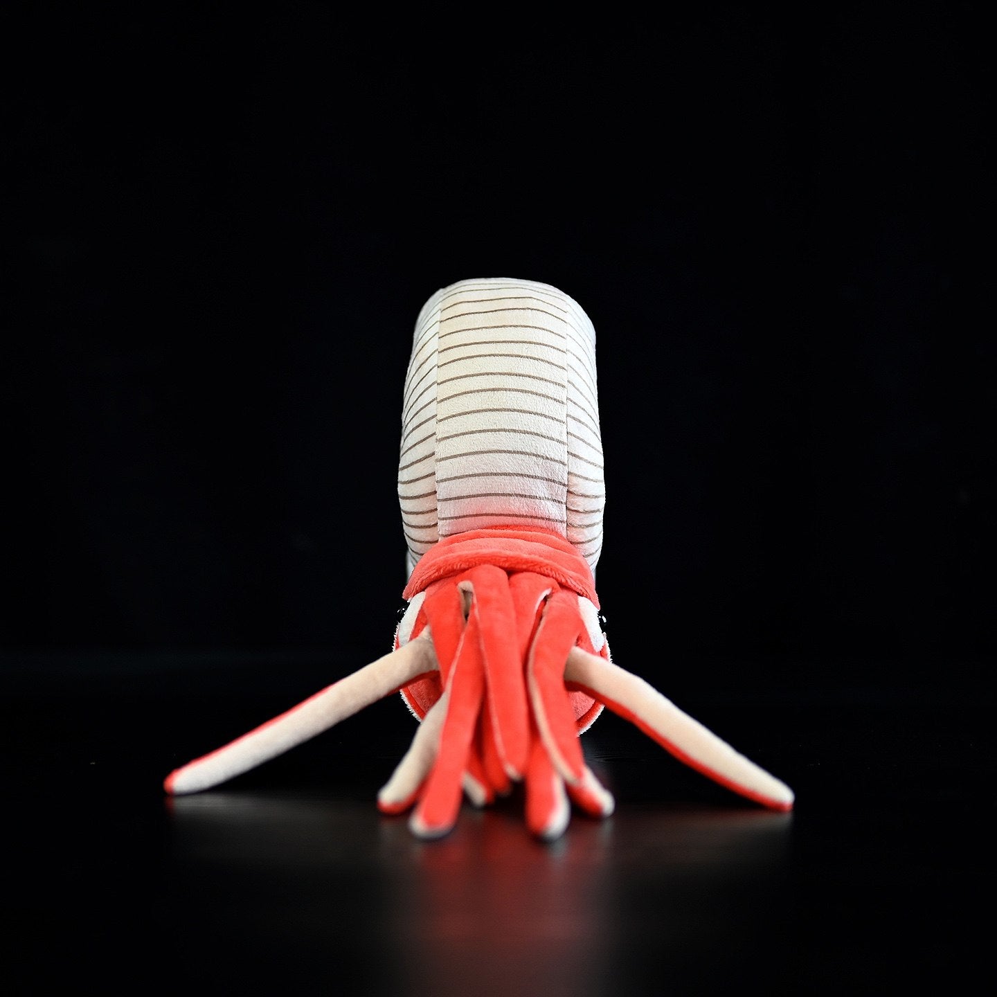 Front view of Perisphinctes ammonite plush with striped shell and soft red tentacles, showcasing realistic prehistoric design