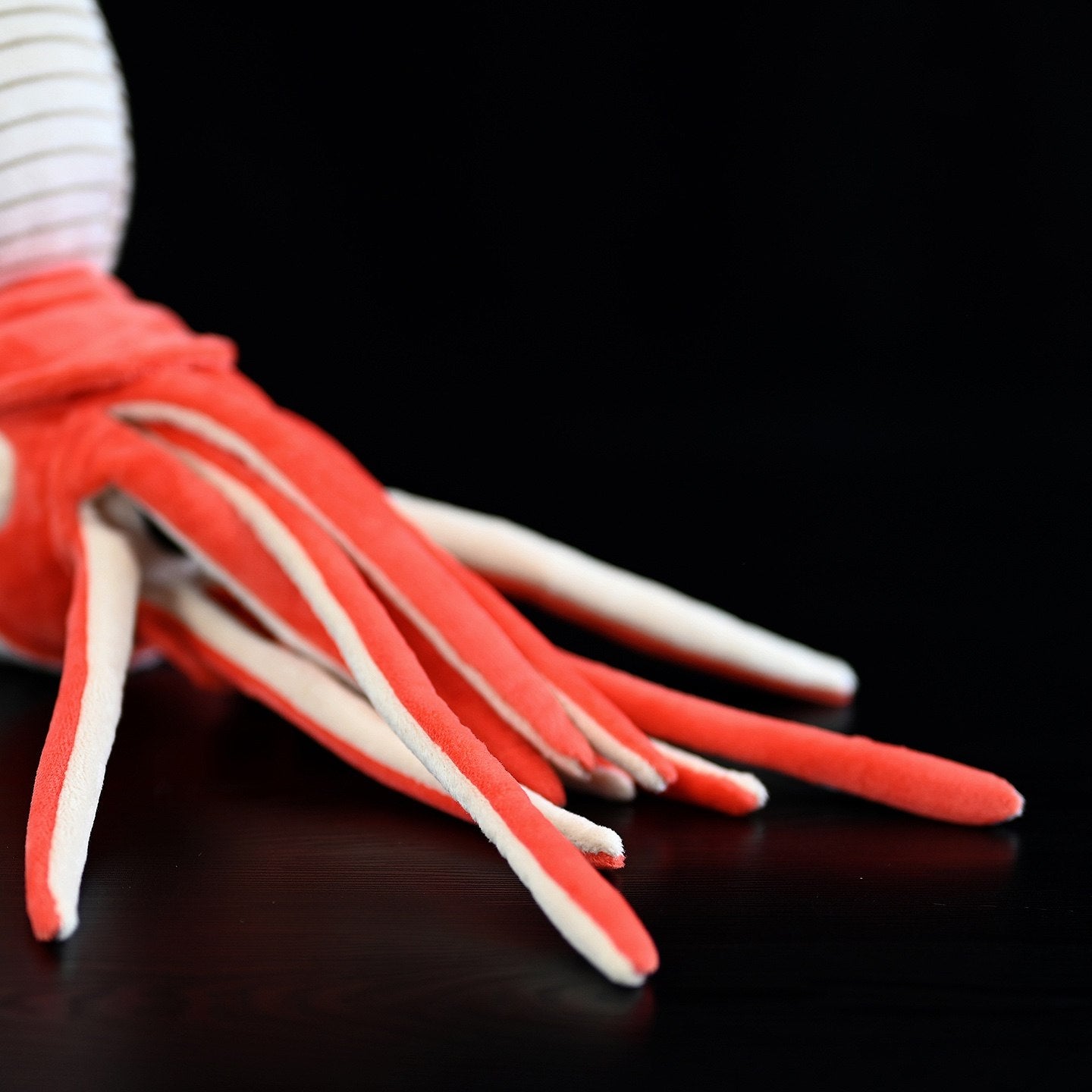 Close-up of red and white tentacles on Perisphinctes ammonite plush, mimicking the appearance of prehistoric cephalopods