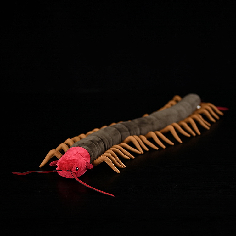 Front-side perspective of Chinese red-headed centipede plush, showcasing its lifelike red head and antennae