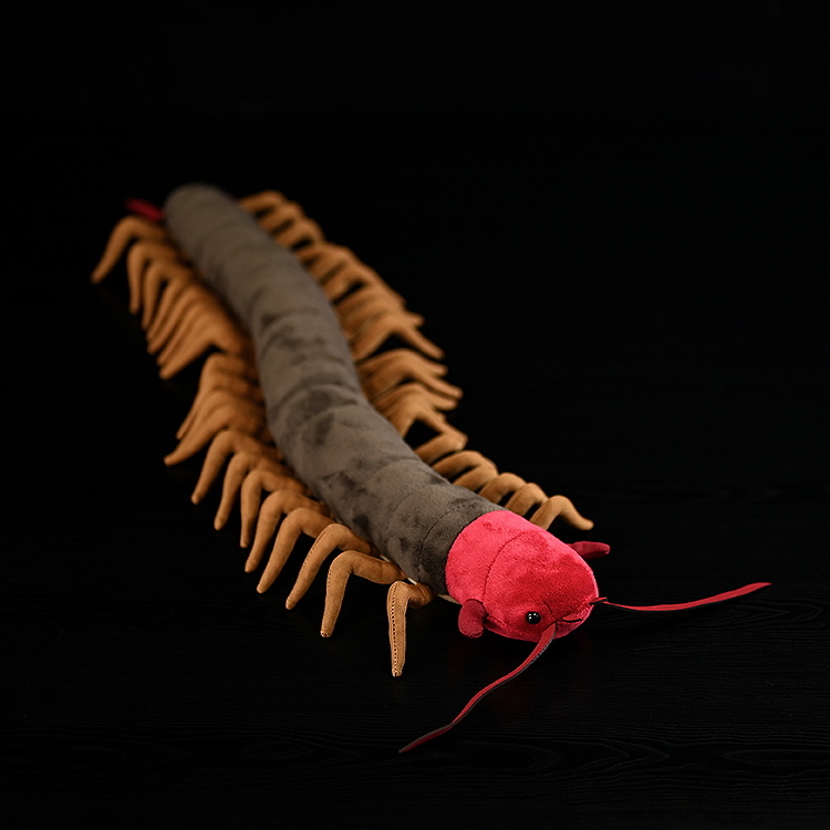 Top-down view of Chinese red-headed centipede stuffed toy with soft legs and naturalistic design by SoftDaysLab