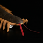 Realistic Chinese Red-Headed Centipede Plush – Lifelike, Soft, and Perfect for Nature Enthusiasts