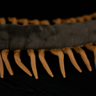 Close-up of the soft, detailed legs of Chinese red-headed centipede plush toy, perfect for nature enthusiasts