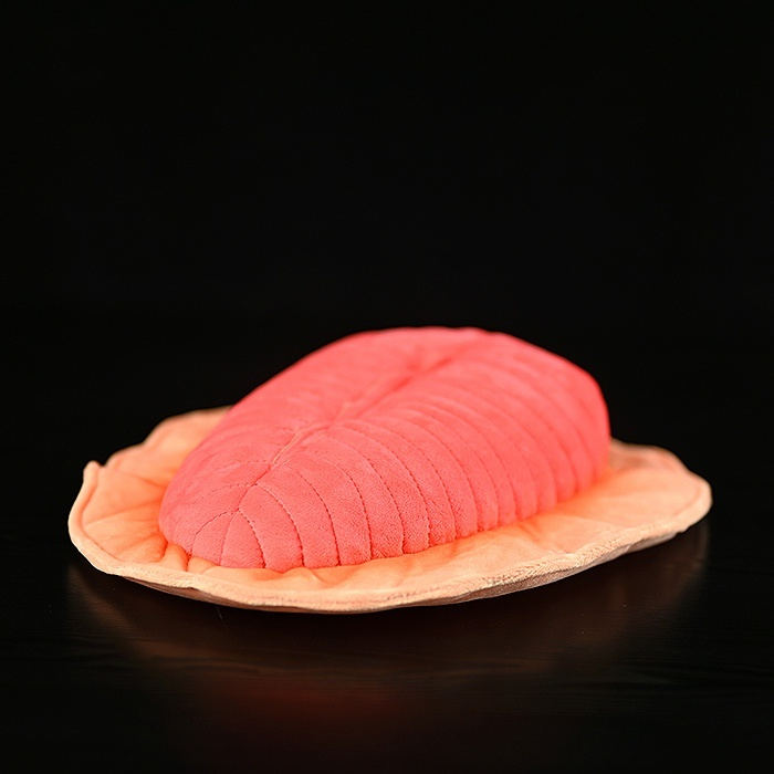 Dickinsonia Prehistoric Creature Plush Toy – Soft, Lifelike, and Perfect for Science Lovers