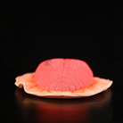 Dickinsonia Prehistoric Creature Plush Toy – Soft, Lifelike, and Perfect for Science Lovers