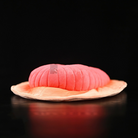 Dickinsonia Prehistoric Creature Plush Toy – Soft, Lifelike, and Perfect for Science Lovers