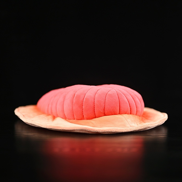 Dickinsonia Prehistoric Creature Plush Toy – Soft, Lifelike, and Perfect for Science Lovers