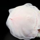 Pink Acromitus Flagellatus Jellyfish Plush Toy – Soft, Realistic, and Perfect for Ocean Lovers