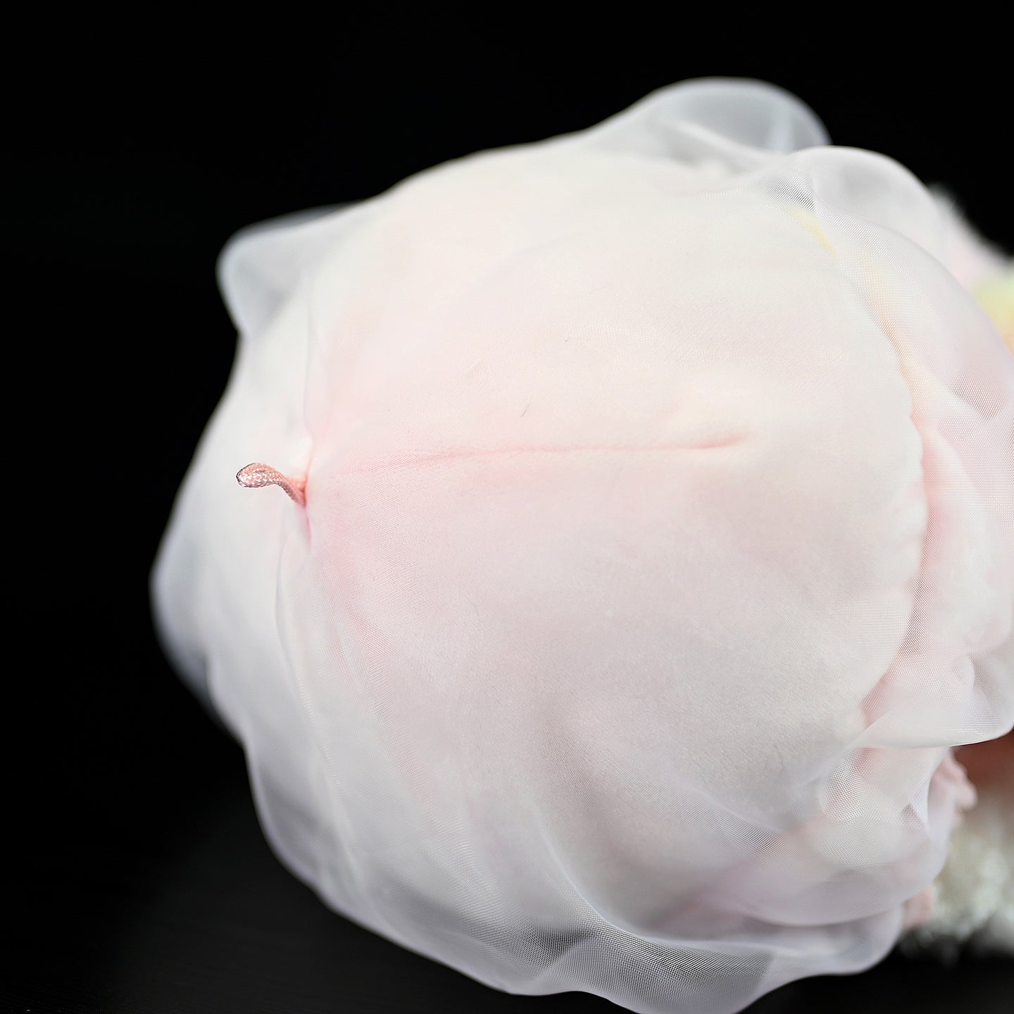 Pink Acromitus Flagellatus Jellyfish Plush Toy – Soft, Realistic, and Perfect for Ocean Lovers