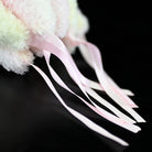 Pink Acromitus Flagellatus Jellyfish Plush Toy – Soft, Realistic, and Perfect for Ocean Lovers