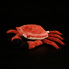 Realistic Edible Crab Plush Toy – Soft Stuffed Marine Animal