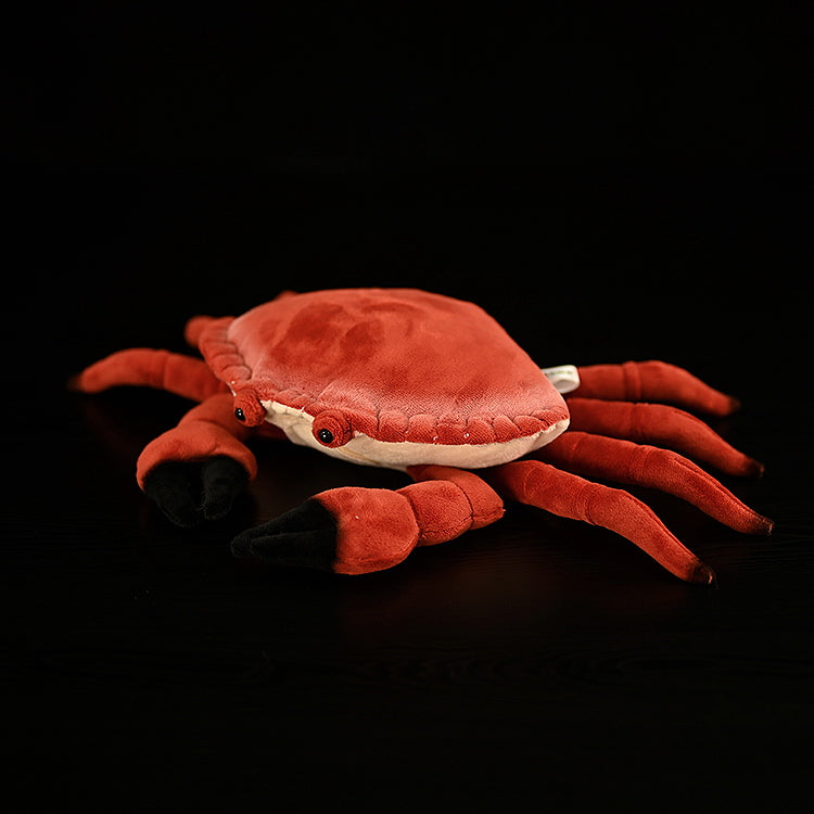 Complete view of the Edible Crab Plush by SoftDaysLab, featuring a lifelike design with soft fabric and realistic details