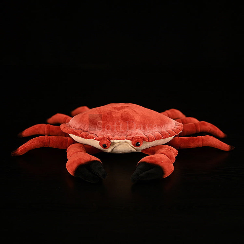 Realistic Edible Crab Plush Toy – Soft Stuffed Marine Animal