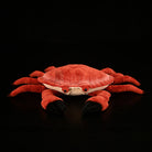 Realistic Edible Crab Plush Toy – Soft Stuffed Marine Animal
