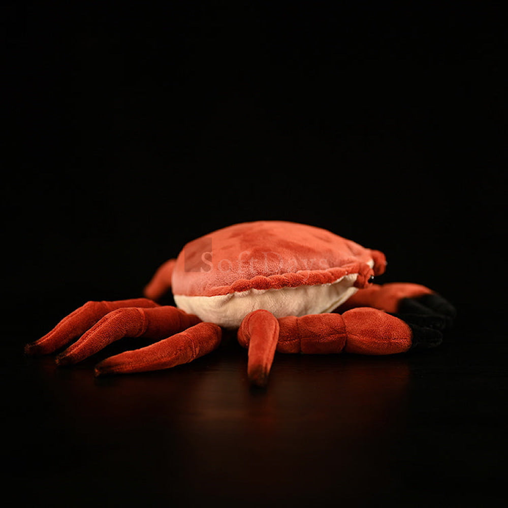 Realistic Edible Crab Plush Toy – Soft Stuffed Marine Animal