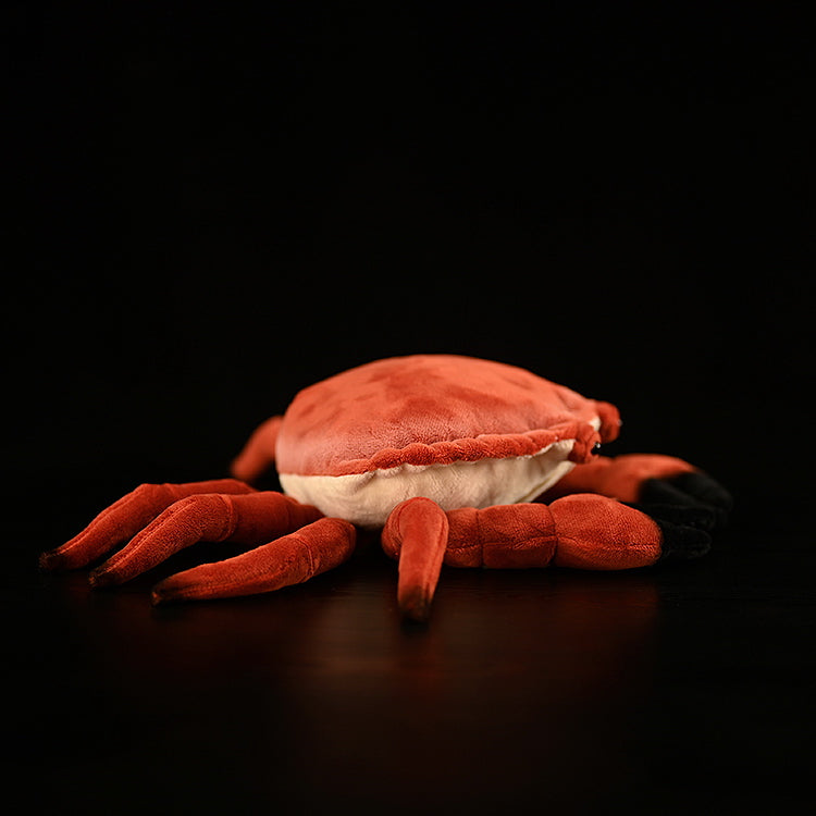 Angled rear view of the Edible Crab Plush, showing its vibrant red shell, flexible claws, and detailed craftsmanship