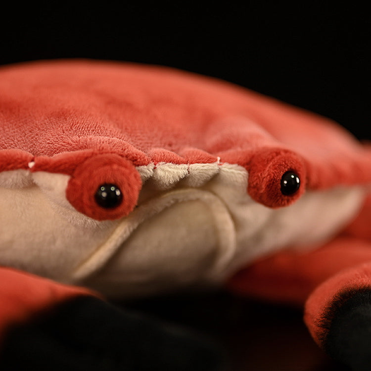 Close-up of the plush crab's face, highlighting its adorable lifelike eyes and soft, detailed fabric design