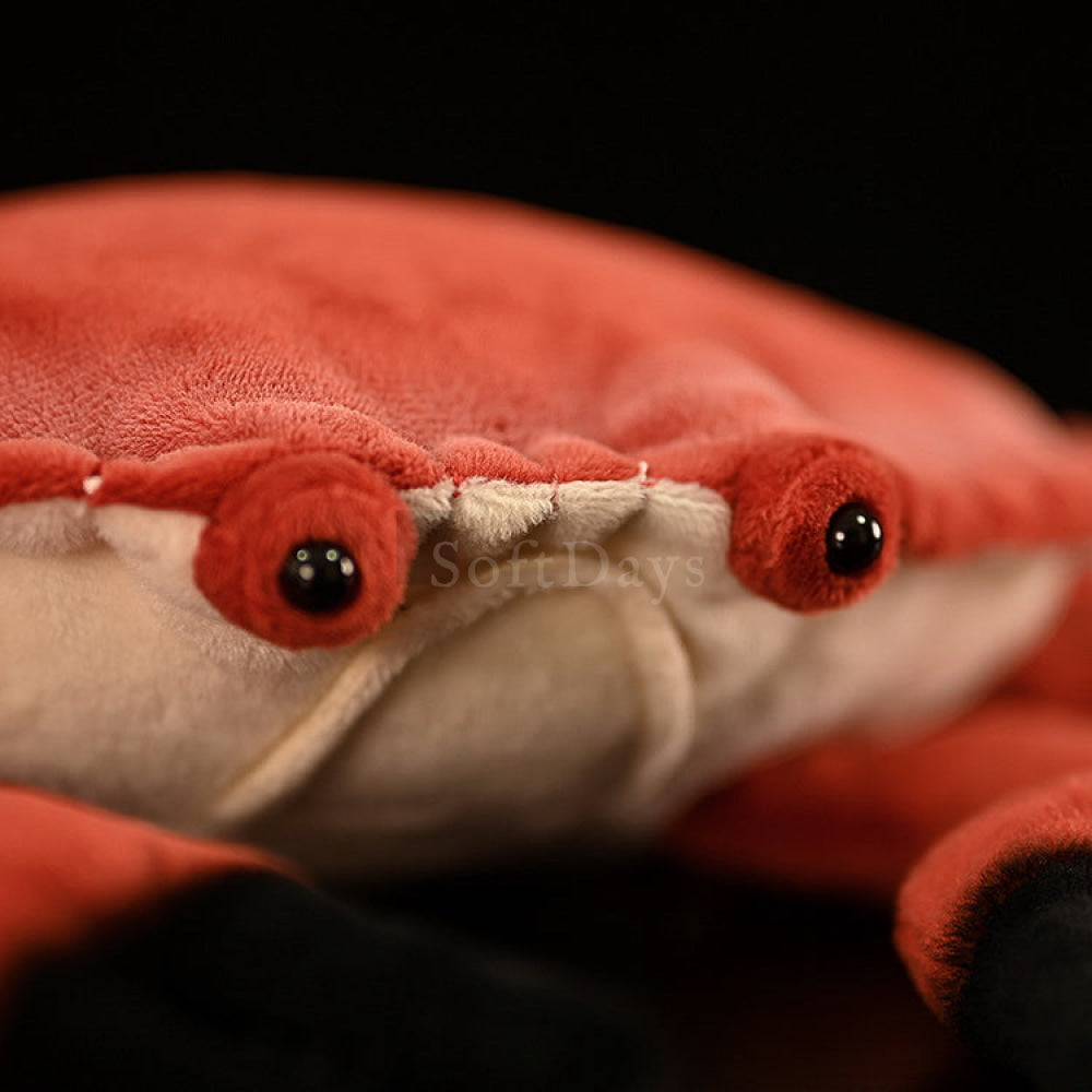 Realistic Edible Crab Plush Toy – Soft Stuffed Marine Animal