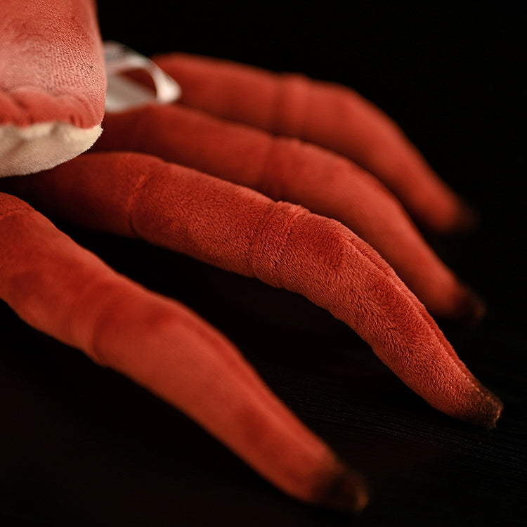 Close-up of the legs of the Edible Crab Plush, showing its soft fabric and realistic marine-inspired look