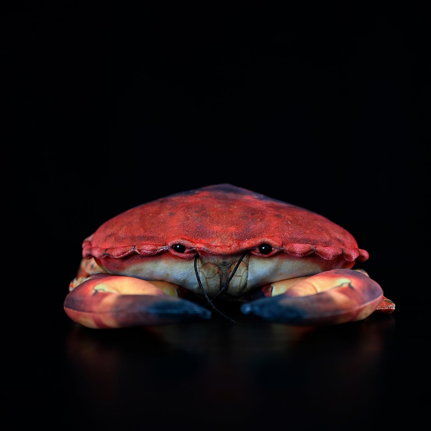 Realistic edible crab plush with lifelike details, perfect for marine lovers. By SoftDaysLab