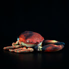 Back view of the edible crab plush toy, highlighting its detailed legs and lifelike design