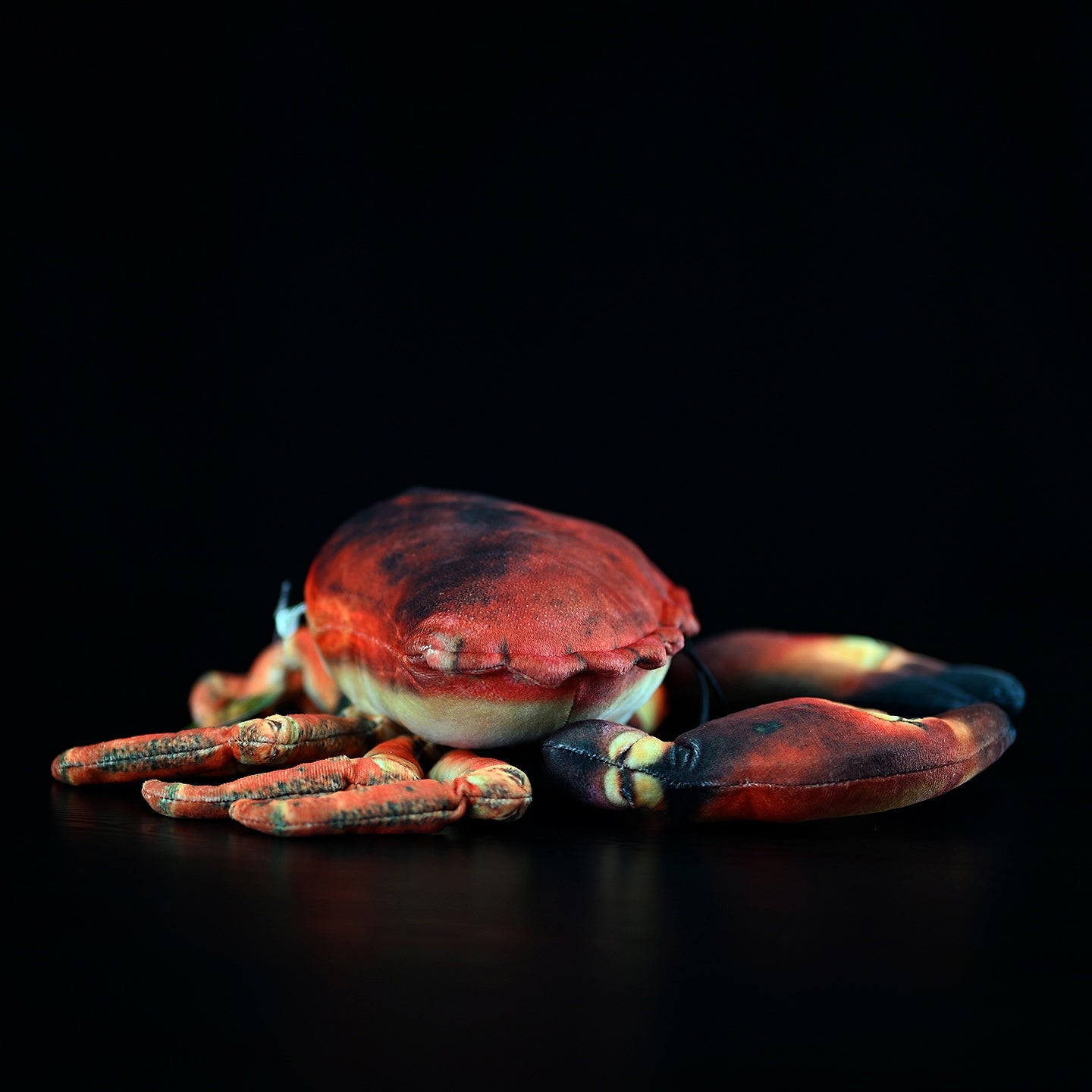 Back view of the edible crab plush toy, highlighting its detailed legs and lifelike design