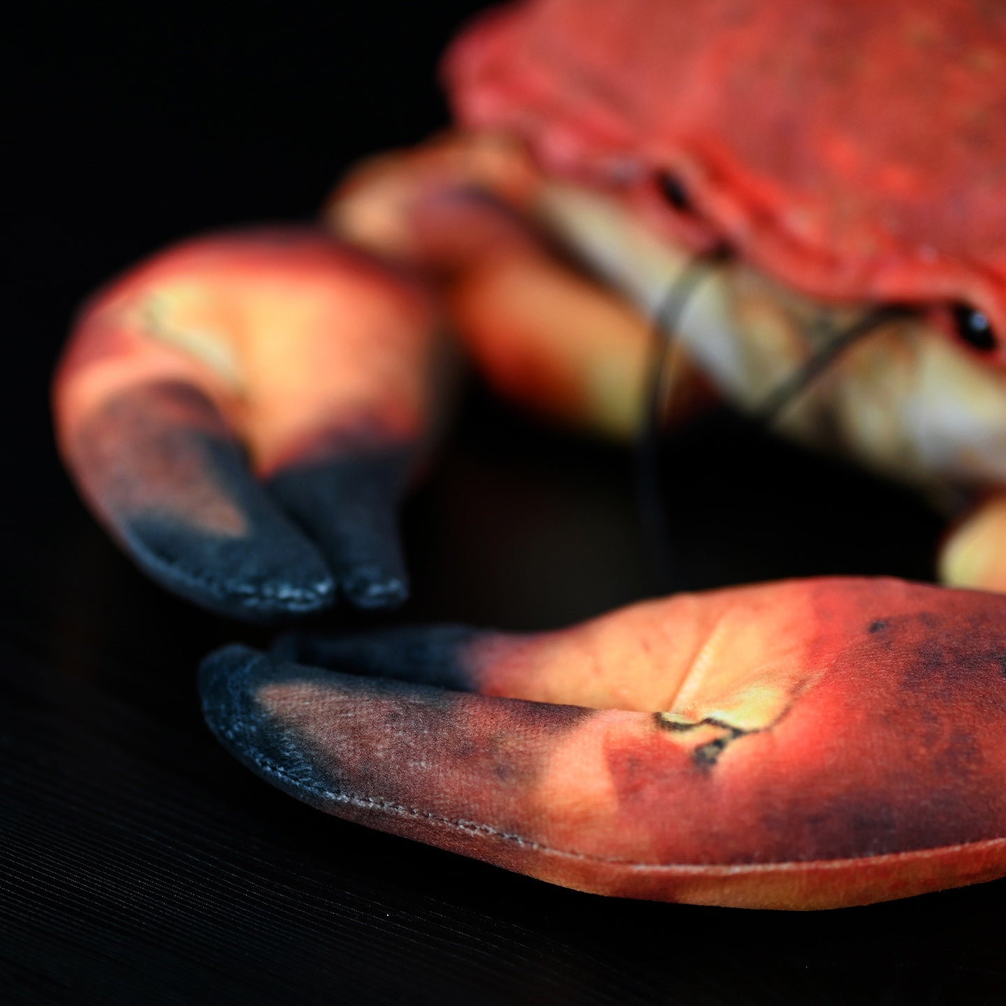 Close-up of the brown crab plush toy's detailed claws, showing realistic textures and colors