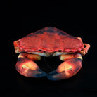 Front view of the lifelike edible crab plush toy with soft and vibrant shell