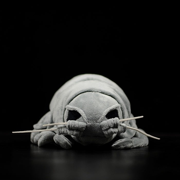 Full front view of giant isopod plush toy, realistic marine animal design by SoftDaysLab