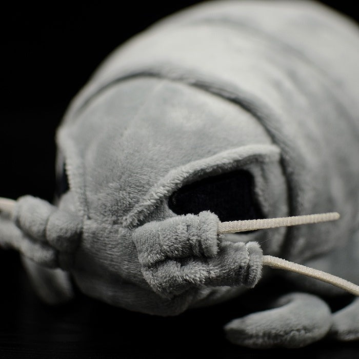 Close up of giant isopod plush head with antennae, a realistic sea creature by SoftDaysLab