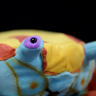 Vibrant Sally Lightfoot Crab Soft Plush Toy – Realistic Marine Stuffed Animal