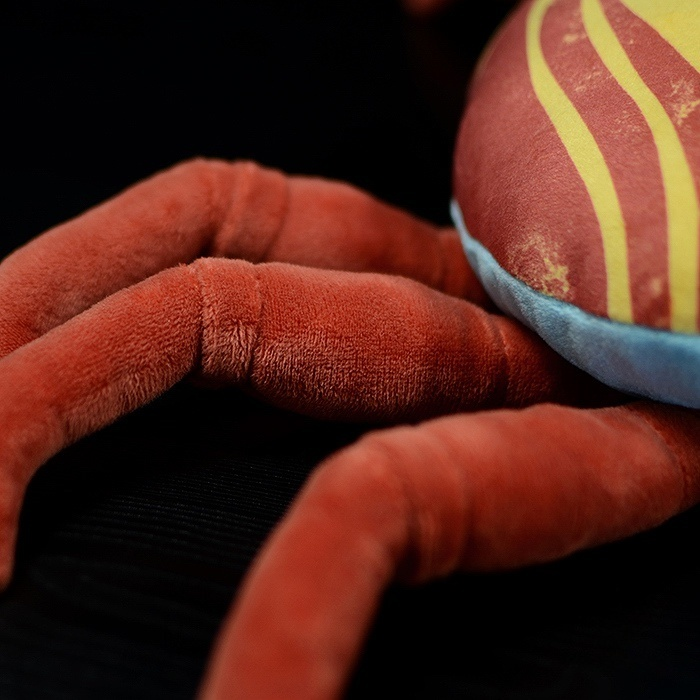 Close-up of Sally Lightfoot Crab plush legs, soft and realistic marine animal toy for ocean lovers