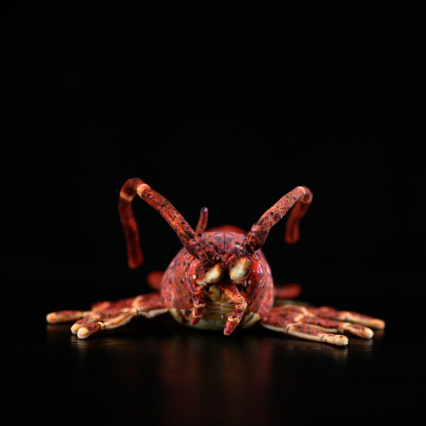 Front view of a Japanese spiny lobster plush toy showing detailed antennae and lifelike features