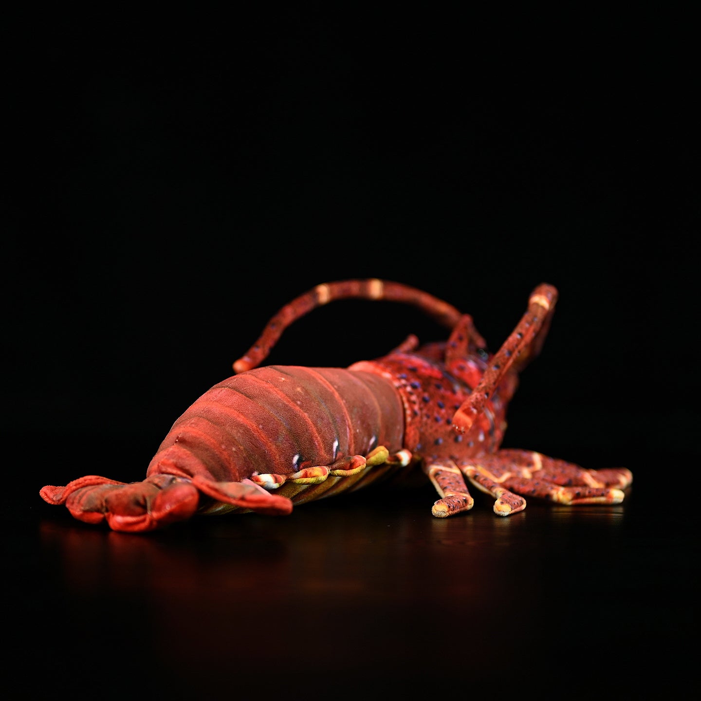 Rear view of Japanese spiny lobster plush toy showcasing detailed tail fins and realistic texture