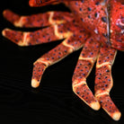 Close-up of Japanese spiny lobster plush toy’s realistic legs with precise detailing and vivid colors