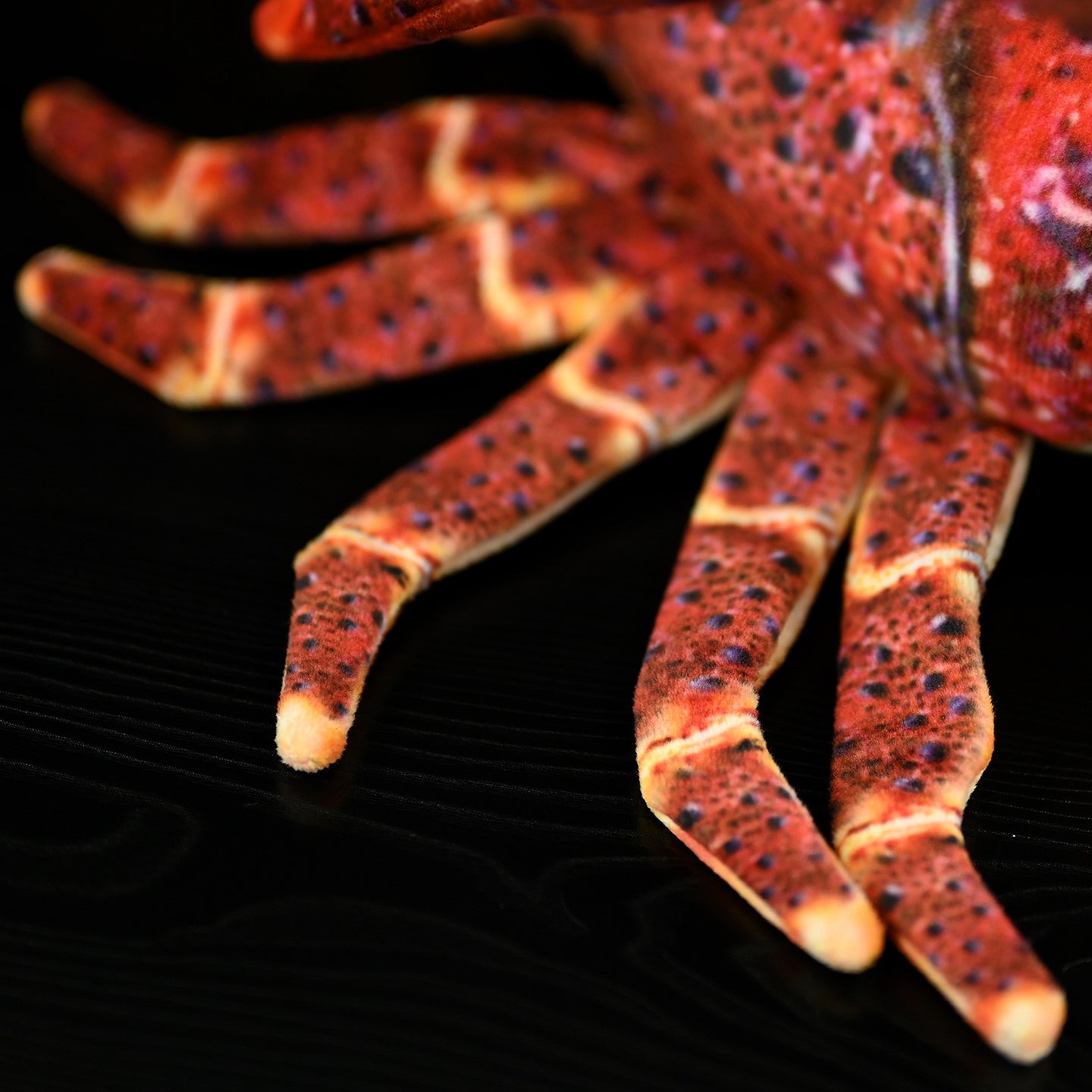 Close-up of Japanese spiny lobster plush toy’s realistic legs with precise detailing and vivid colors