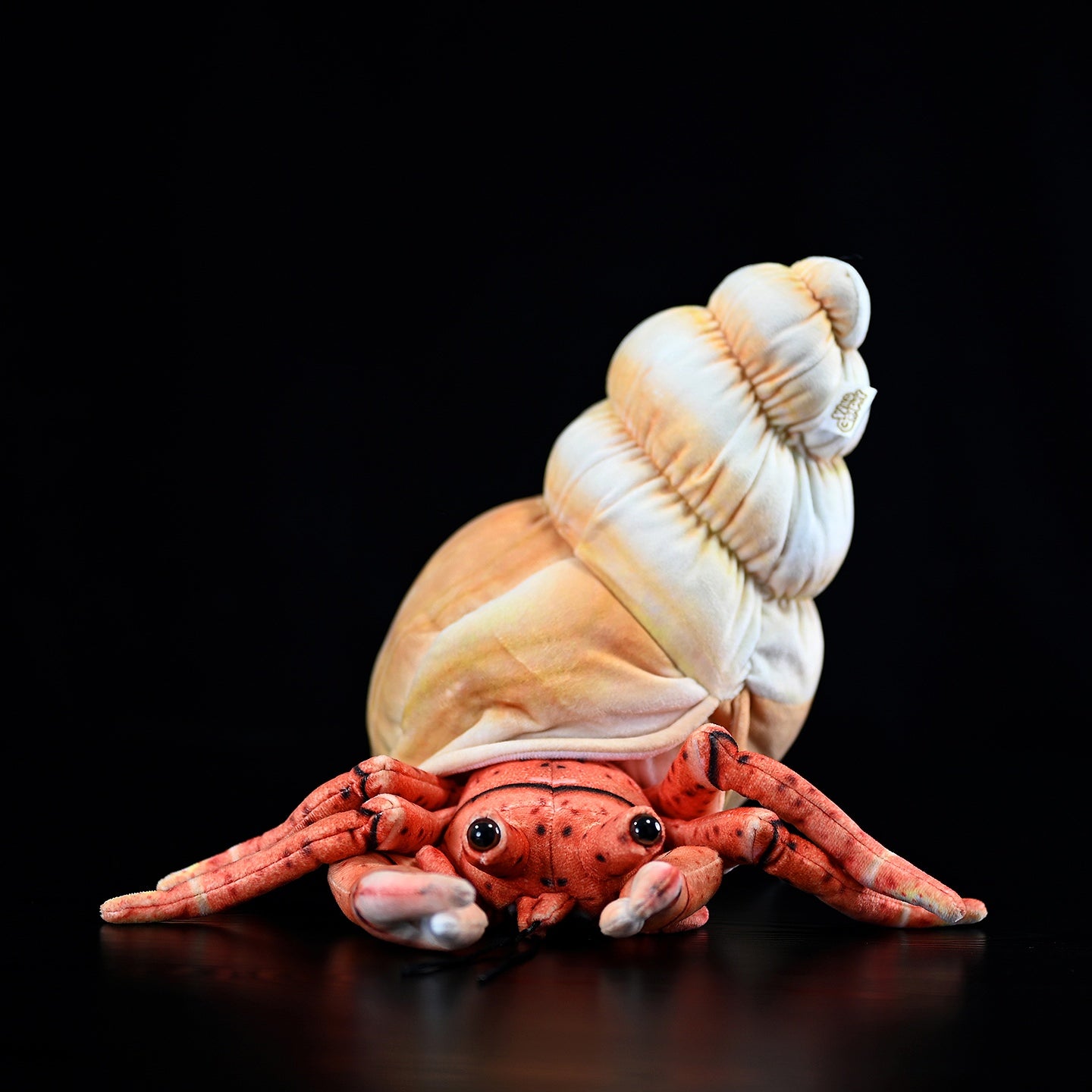 Realistic hermit crab plush toy with vibrant shell and detailed design, perfect for marine lovers